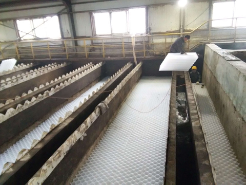 我公司蜂窩斜管沉淀池施工現場